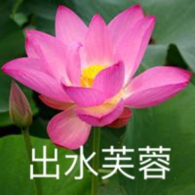 奥特曼跳一跳怪兽联盟游戏(暂未上线)v1.0 安卓版